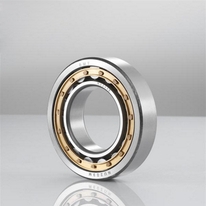 Cylindrical Roller Bearings