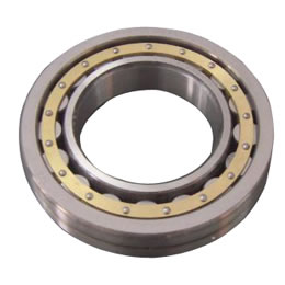 Extra Large Size Bearings