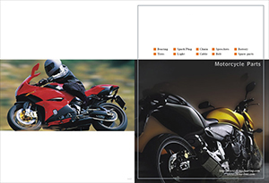 Repuestos Para Automoviles Y Motocicletas